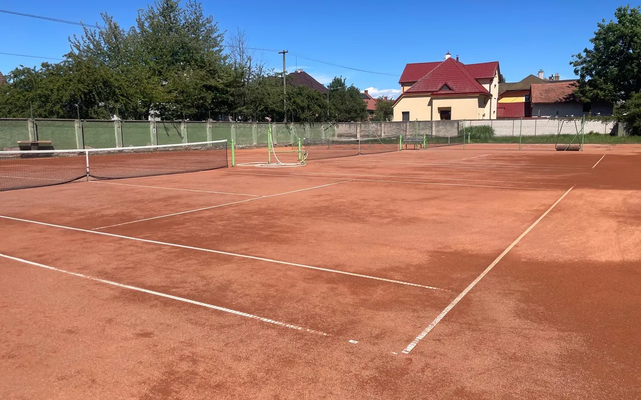 Tenis